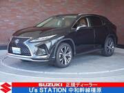 2022 LEXUS RX