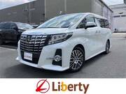 2017 TOYOTA ALPHARD