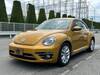 VOLKSWAGEN THE BEETLE