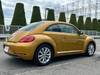 VOLKSWAGEN THE BEETLE