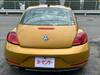 VOLKSWAGEN THE BEETLE