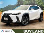 2020 LEXUS UX