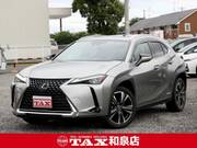 2019 LEXUS UX