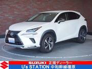 2019 LEXUS NX