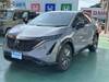 NISSAN OTHER