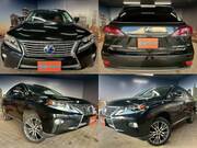 2013 LEXUS RX