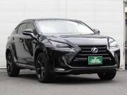 2017 LEXUS NX