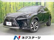 2018 LEXUS NX