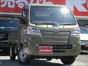 2019 DAIHATSU HIJET TRUCK
