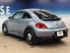VOLKSWAGEN THE BEETLE