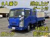 ISUZU OTHER
