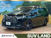 2021 HONDA OTHER