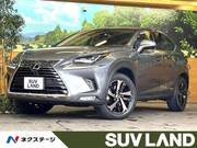 2020 LEXUS NX
