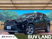 2019 TOYOTA RAV4 G