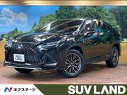 2020 LEXUS RX