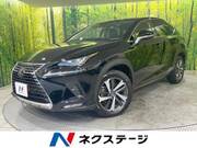 2019 LEXUS NX