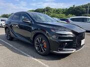 2024 LEXUS RX