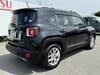 CHRYSLER JEEP RENEGADE