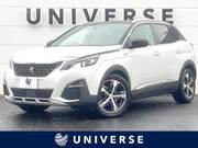 2019 PEUGEOT 3008