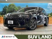 2019 LEXUS UX