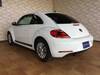 VOLKSWAGEN THE BEETLE