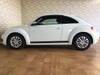 VOLKSWAGEN THE BEETLE
