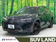 2020 LEXUS UX