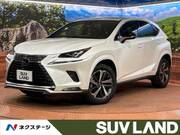 2020 LEXUS NX