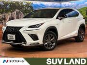 2020 LEXUS NX