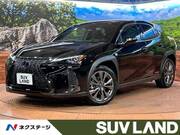 2019 LEXUS UX