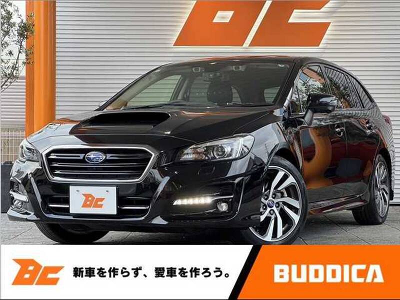 -LEVORG