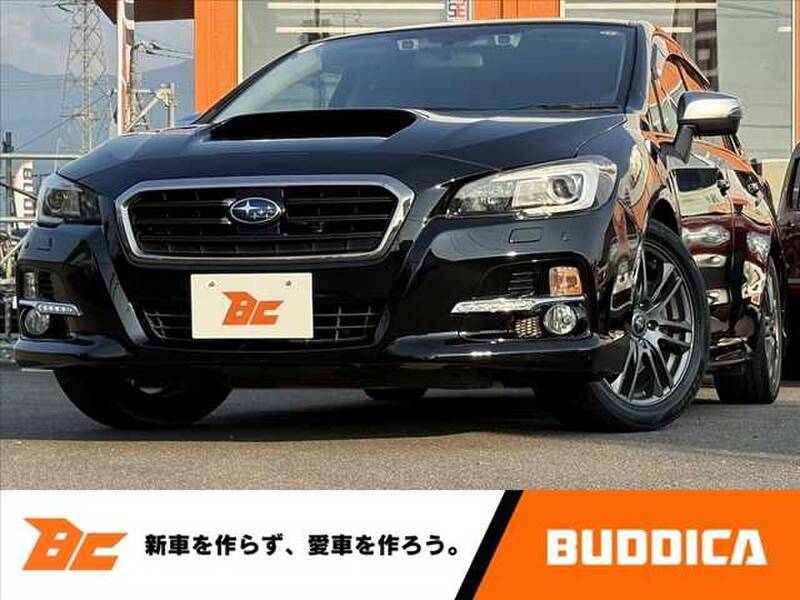 -LEVORG
