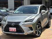 2018 LEXUS NX