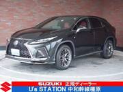 2020 LEXUS RX