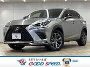 2019 LEXUS NX
