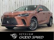 2024 LEXUS RX