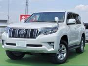 2019 TOYOTA LAND CRUISER PRADO TX