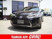 2021 LEXUS UX