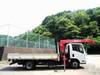 ISUZU OTHER