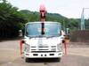 ISUZU OTHER