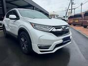 2022 HONDA OTHER