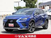 2020 LEXUS NX