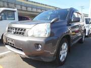 2010 NISSAN X-TRAIL