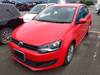 OTHER POLO