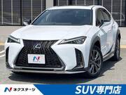 2020 LEXUS UX