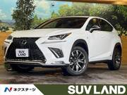 2018 LEXUS NX