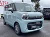 SUZUKI OTHER