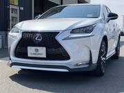 2014 LEXUS NX