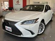 2019 LEXUS ES