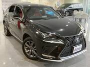 2018 LEXUS NX